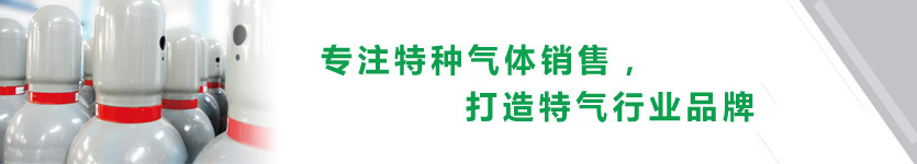 淄博迪嘉特种气体有限公司